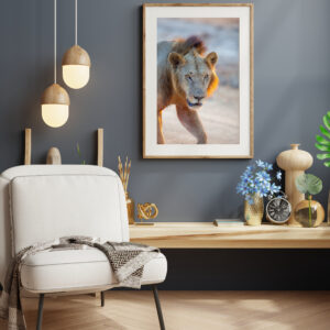 lion image